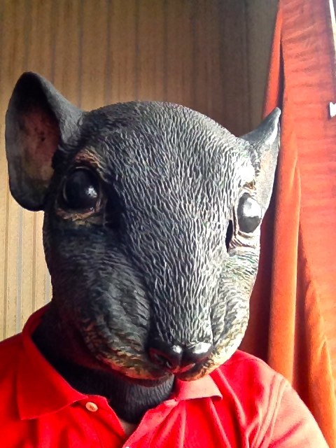City Rat